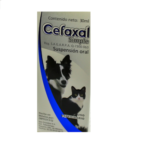 Cefaxal Simple 30 mL ( Cefalexina - Meloxicam)