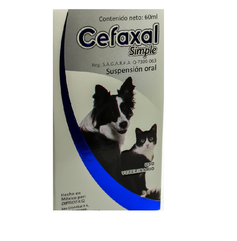 Cefaxal Simple 60 mL ( Cefalexina - Meloxicam)