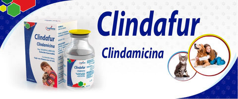 Clindafur Inyectable 25 ml