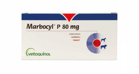 Marbocyl P 80 mg 6 comprimidos