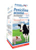 Penicilina Acuosa 75 M.U.I. Frasco con 250 ml