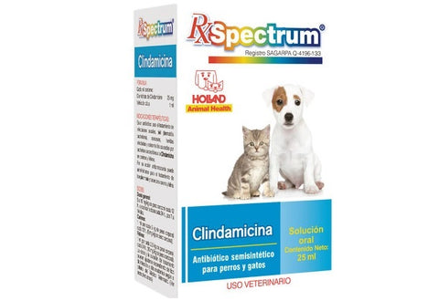 Spectrum® Clindamicina 25 mg solución