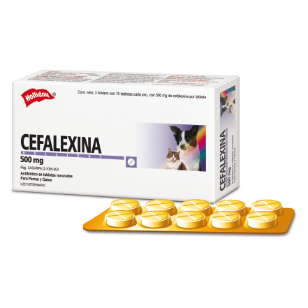 Cefalexina 500 mg 30 comprimidos