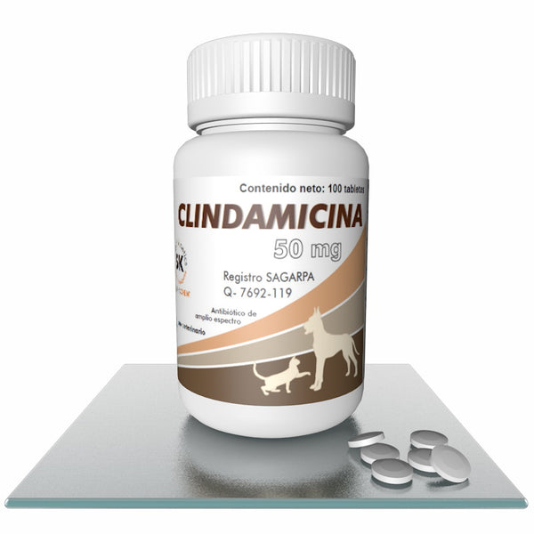 Clindamicina 50 mg  100 Tabletas (Smart Kinetics)