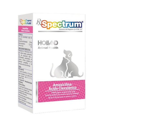 Spectrum® Amoxicilina y Ácido Clavulánico 50 mg/12.5 mg Suspensión 30 ml