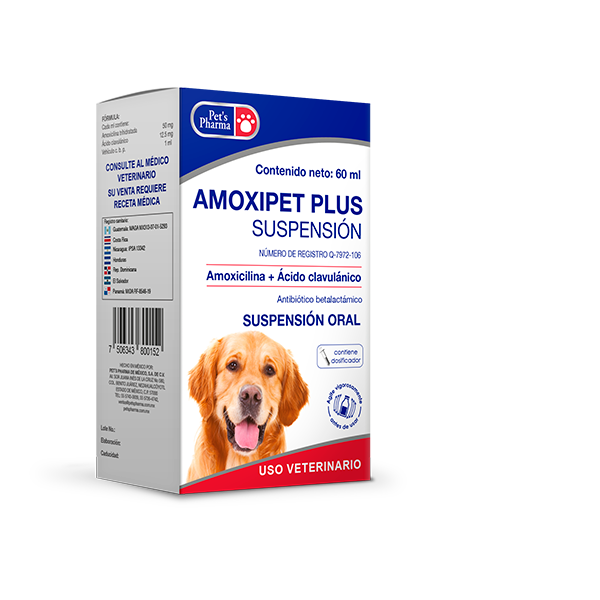 Amoxipet Plus Suspensión Frasco con 60 ml
