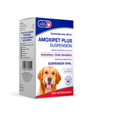 Amoxipet Plus Suspensión Frasco con 60 ml