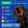 Dogelthy Dog BALM STICK 50 gr ( Bálsamo Hidratante para Piel, Patitas y Nariz Anti Resequedad y Agrietamiento )