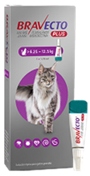 Bravecto Plus Gatos 500 mg L (6.2 - 12.5  kg ) Pulgas y garrapatas