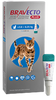 Bravecto Plus Gatos 250 mg M ( 2.8 - 6.25 kg ) Pulgas y garrapatas