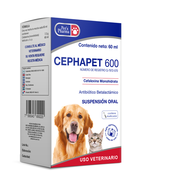 Cephapet 600 Suspensión 60 mL