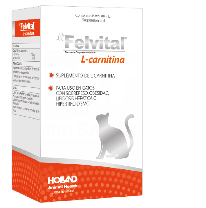 Felvital L-Carnitina Suspensin Oral Gatos 80 mL | Grupo Lovet :: Farmacia Veterinaria San Bernardo :: Medicamentos veterinarios en general y de especialidad. Sucursales en Quertaro y CDMX. Felvital L-Carnitina Suspensin Oral Gatos 80 mL | Grupo Lovet :: Farmacia Veterinaria San Bernardo :: Medicamentos veterinarios en general y de especialidad. Sucursales en Quertaro y CDMX.