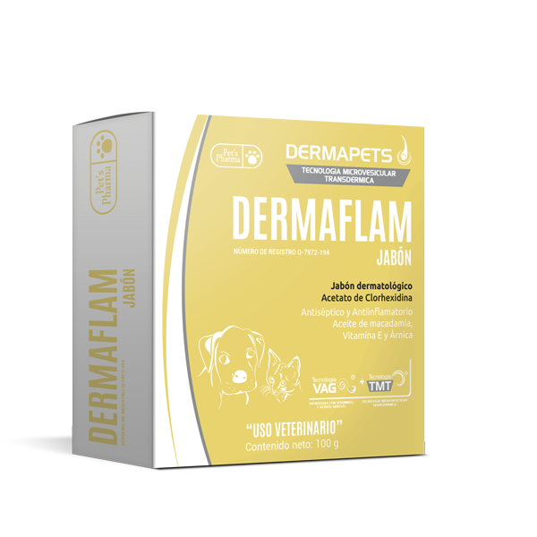 Dermaflam Jabón 100 g