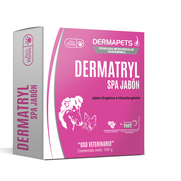 Dermatryl SPA Jabón 100 g