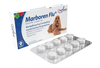 Marboren Flu 10 tabletas (Marbofloxacina/Loratadina/ Acetilcisteína /Dropropizina)