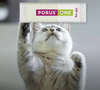 Porus One 500 mg 30 Sobres ( Renal Gatos ) Modulador