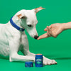 Dogelthy Dog BALM TARRO 50 gr ( Bálsamo Hidratante para Piel, Patitas y Nariz Anti Resequedad y Agrietamiento )