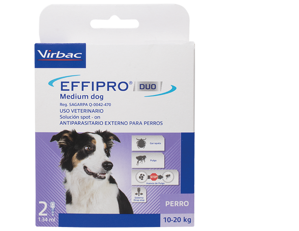 Effipro Duo Medium Dog para perros de  10-20 kg 2 pipetas ( Fipronil - Piriproxifen)