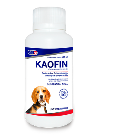 Kaofin 100 ml