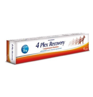 4 Plex Recovery 30 gr