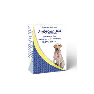 Ambroxin 300 Frasco 50 ml