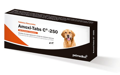 Amoxi Tabs C 250  (10 Tabletas)