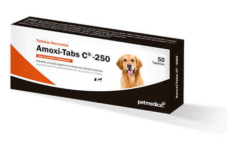 Amoxi Tabs C 250  (50 Tabletas)