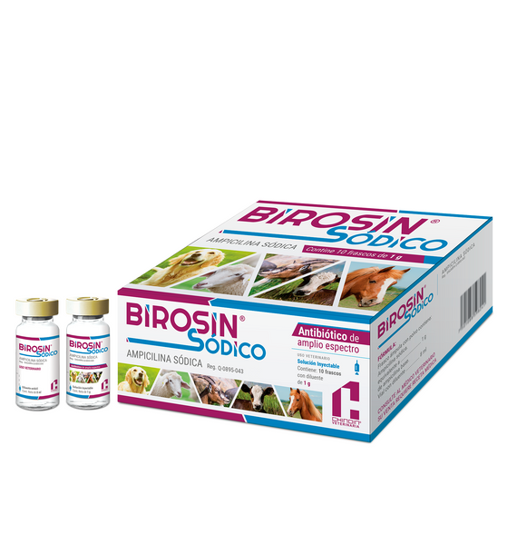 Birosin Sódico Inyectable 1 gr   ( 10 frascos )