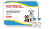 Canomune Puppy DHA2P  ( VACUNA CUADRUPLE ) 1 DOSIS INDIVIDUAL REQUIERE TRANSPORTARSE EN FRÍO LLAME PARA COTIZAR ENVÍO