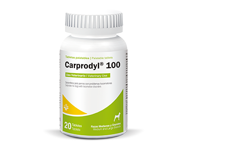 Carprodyl 100 mg 20 tabletas (Carprofeno )