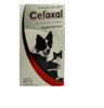 Cefaxal Suspensión 60 mL ( Cefalexina  Bromexina Guayacol  Meloxicam)