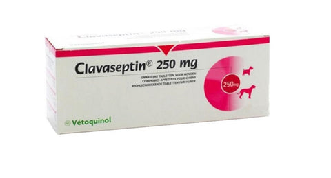 Clavaseptin P 250 mg 10 comprimidos