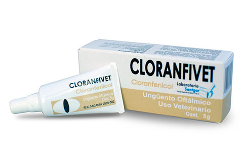 Cloranfivet  5 gr ( ungüento )