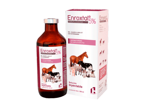 ENROXTAL 5% 50 mL Inyectable