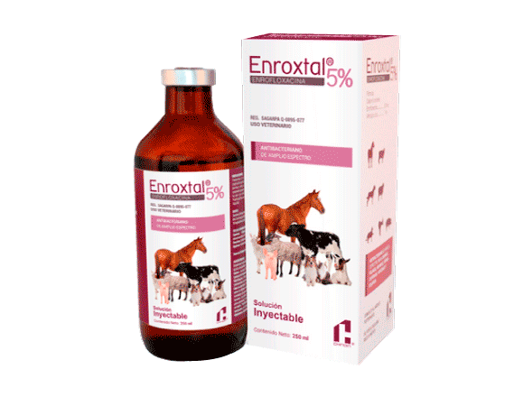 ENROXTAL 5% 250 mL Inyectable