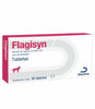 Flagisyn Caja 30 tabletas