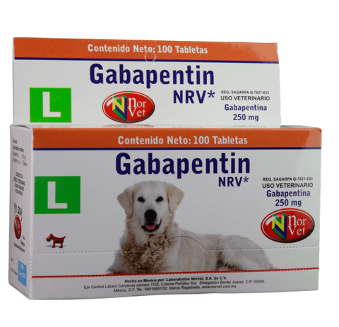 Gabapentin L NRV  100 tabletas ( gabapentina 250 mg )  DESCONTINUADO