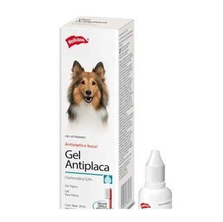 Gel Antiplaca perros y gatos Hollyday 20 ml