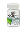 Gynco VetNat 100 Tabletas ( Circulación Cerebral ) GyncoVetNat