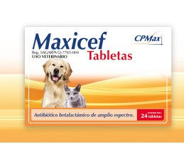 Maxicef - 24 Tabletas