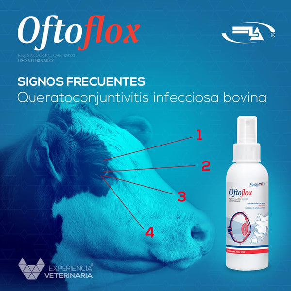 Oftoflox 30 mL