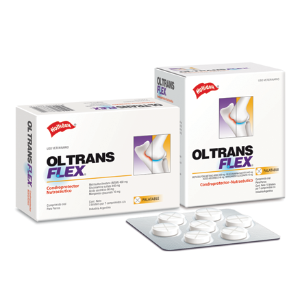 Ol trans flex  palatable 70 tabletas ( condroprotector )