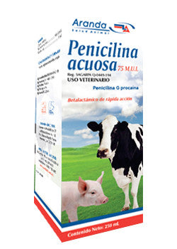 Penicilina Acuosa 75 M.U.I. Frasco con 250 ml