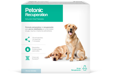 Petonic Recuperation Perros Razas Grandes 275 mL