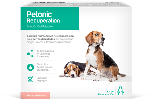 Petonic Recuperation Perros Razas Medianas 110 mL
