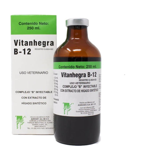 Vitanhegra B12 250 mL ( Complejo B )