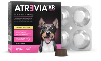 Atrevia XR Small 4.5 - 10  kg 4 Tabletas (Fluralaner 250 mg)
