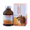 Benzamin B12