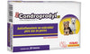 Condroprodyl 25 mg 20 Tabletas