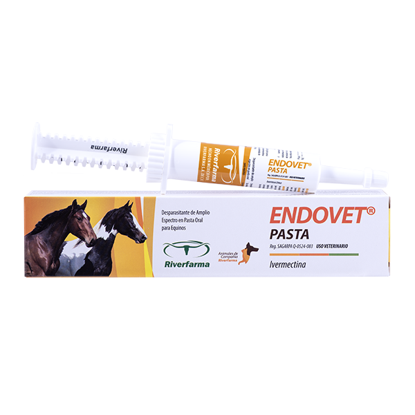 Endovet Pasta Caja con una Jeringa de 14 g